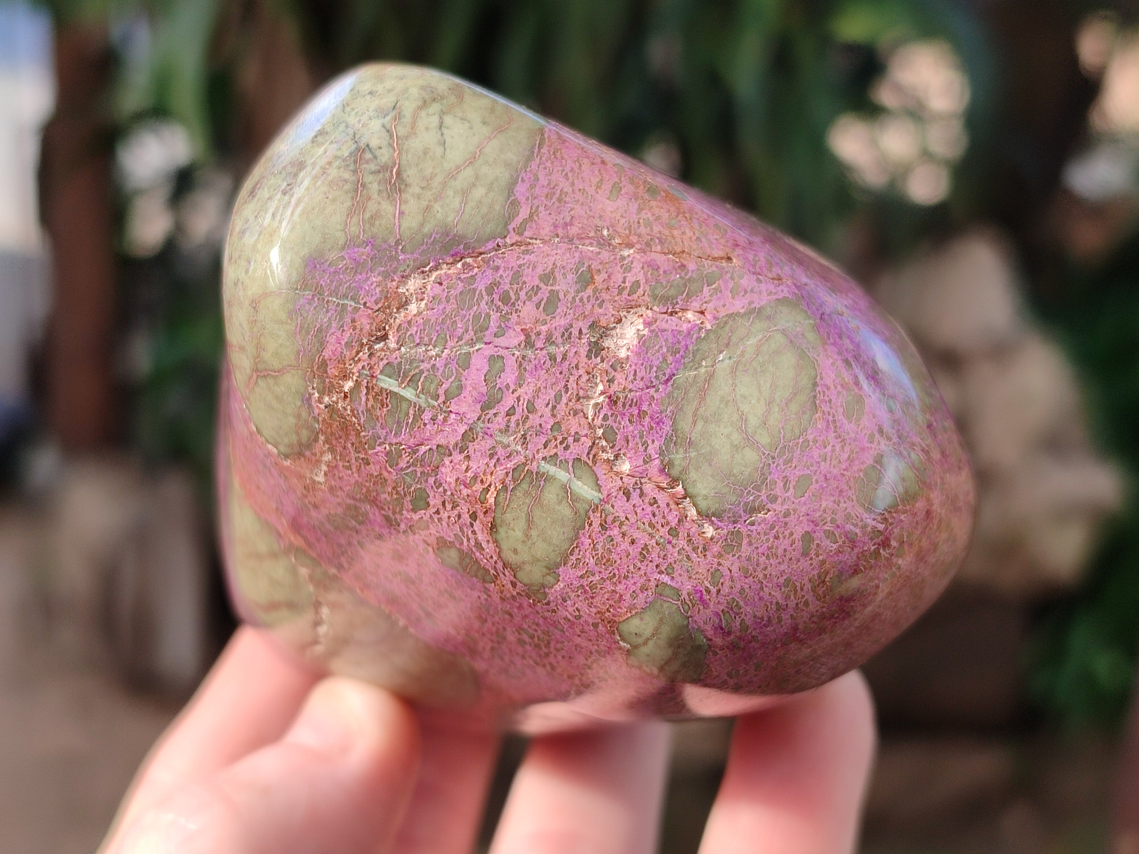 Polished Stichtite Standing Free Forms x 5 From Barberton, South Africa - Toprock Gemstones and Minerals 