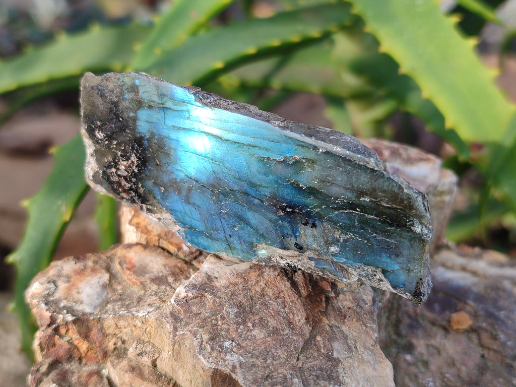 Polished On One Side Labradorite Plates x 35 From Tulear, Madagascar - Toprock Gemstones and Minerals 