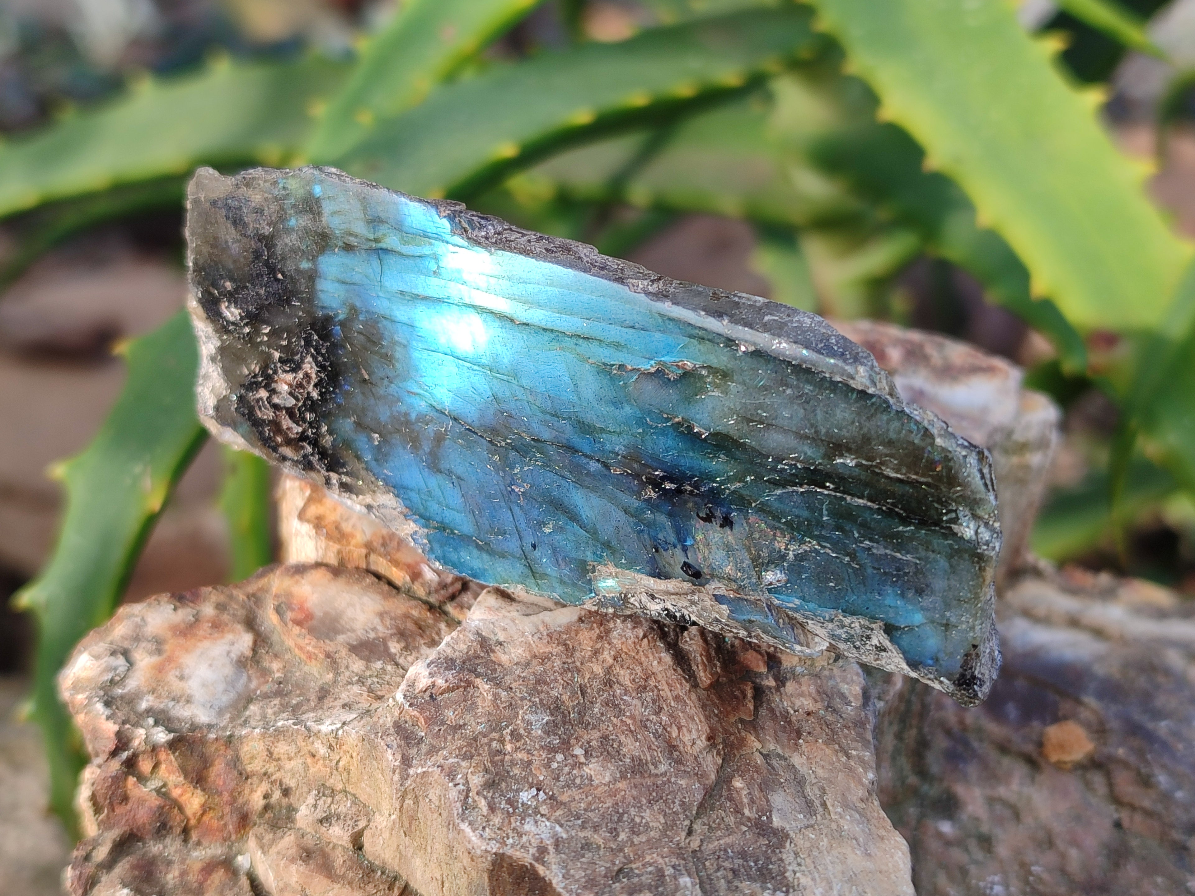 Polished On One Side Labradorite Plates x 35 From Tulear, Madagascar - Toprock Gemstones and Minerals 