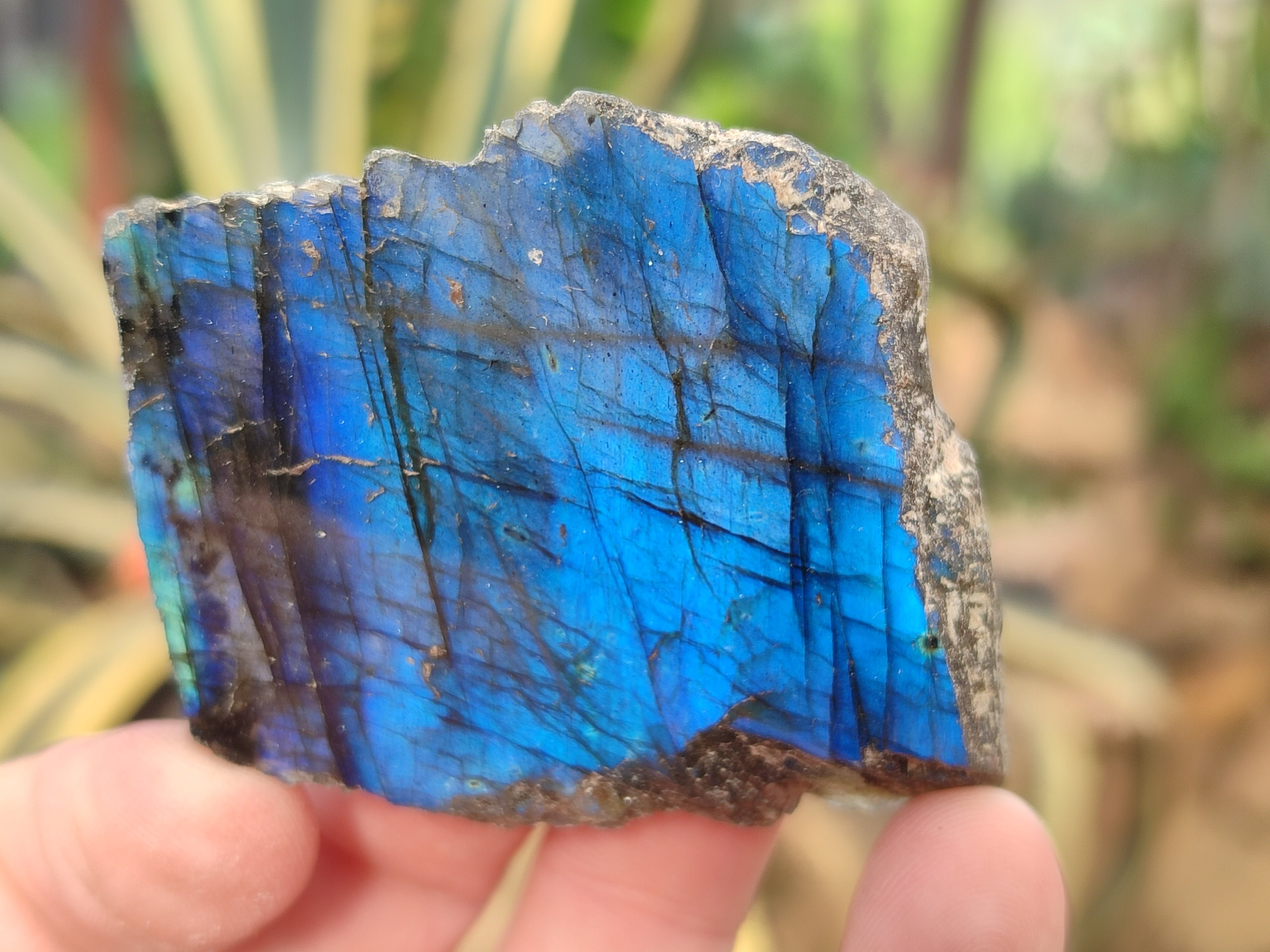 Polished On One Side Labradorite Plates x 35 From Tulear, Madagascar - Toprock Gemstones and Minerals 