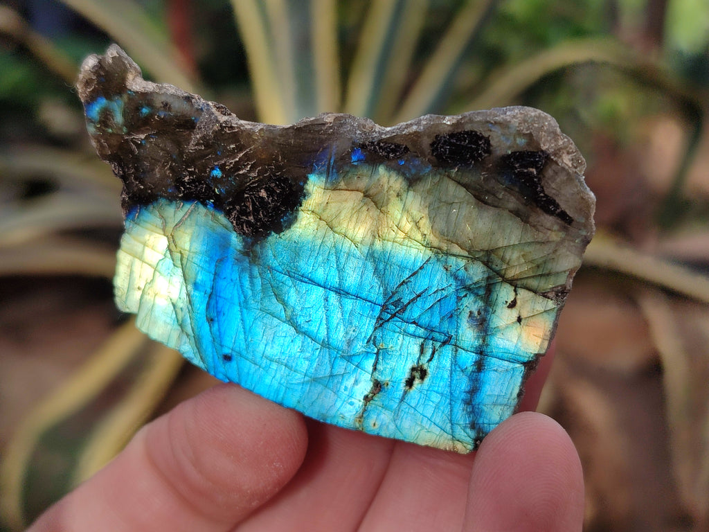 Polished On One Side Labradorite Plates x 35 From Tulear, Madagascar - Toprock Gemstones and Minerals 