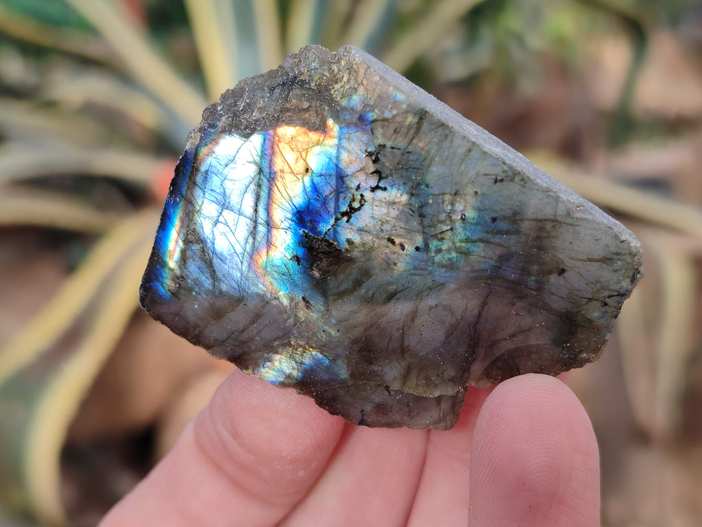 Polished On One Side Labradorite Plates x 35 From Tulear, Madagascar - Toprock Gemstones and Minerals 