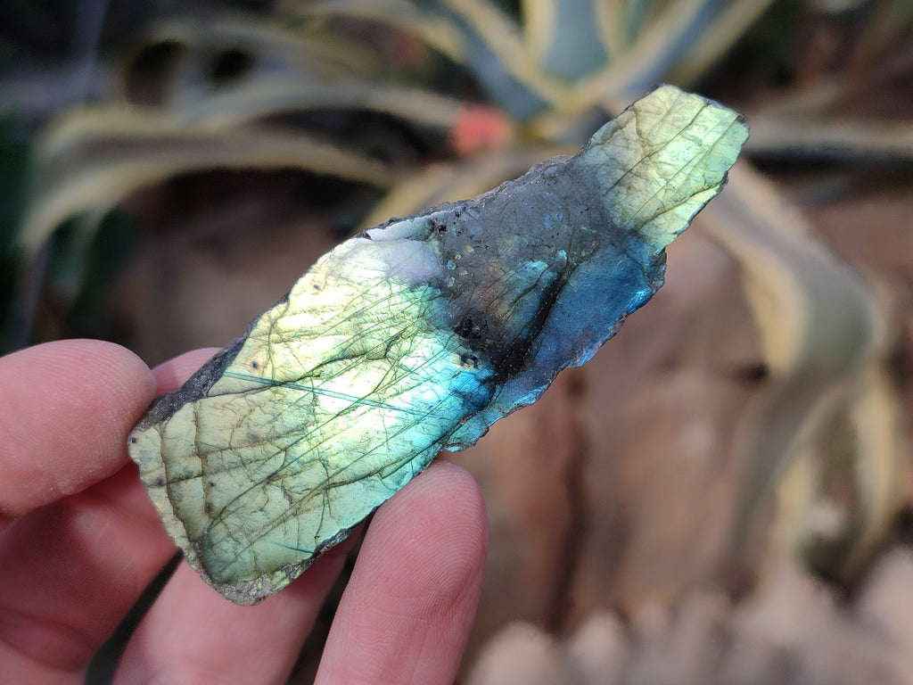 Polished On One Side Labradorite Plates x 35 From Tulear, Madagascar - Toprock Gemstones and Minerals 