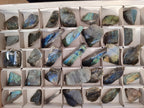 Polished On One Side Labradorite Plates x 35 From Tulear, Madagascar - Toprock Gemstones and Minerals 