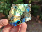 Polished On One Side Labradorite Plates x 35 From Tulear, Madagascar - Toprock Gemstones and Minerals 
