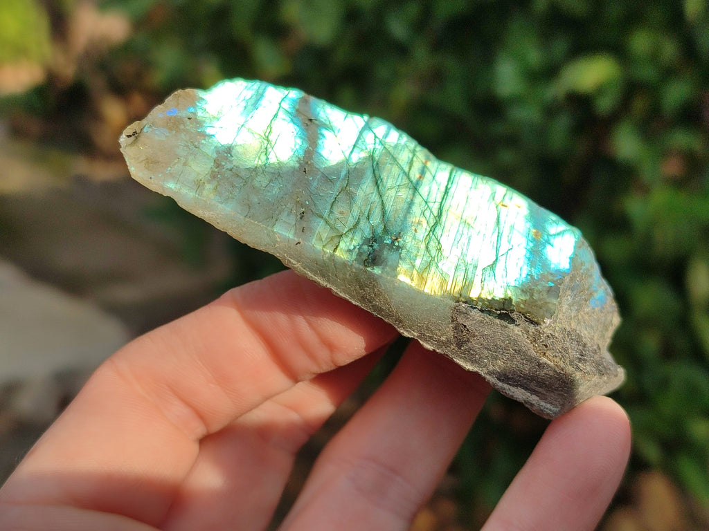 Polished On One Side Labradorite Plates x 35 From Tulear, Madagascar - Toprock Gemstones and Minerals 
