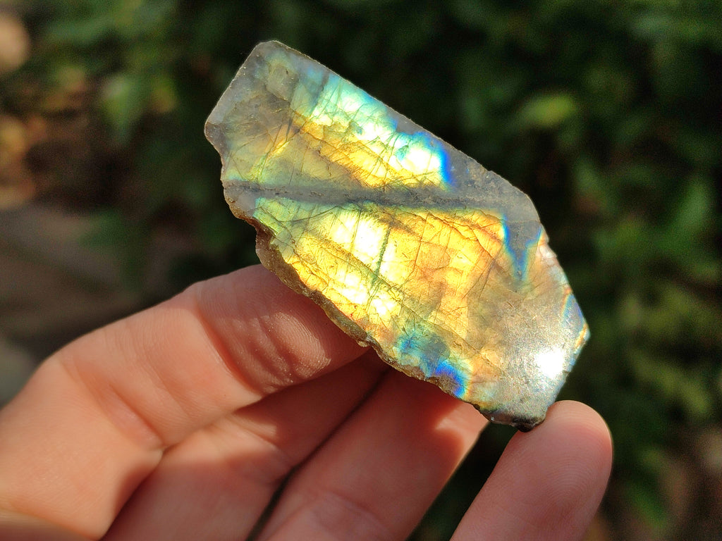 Polished On One Side Labradorite Plates x 35 From Tulear, Madagascar - Toprock Gemstones and Minerals 