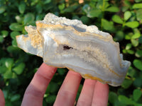Polished on One Side Etched Blue Lace Chalcedony Geodes x 4 From Nsanje, Malawi