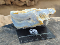 Polished on One Side Etched Blue Lace Chalcedony Geodes x 4 From Nsanje, Malawi