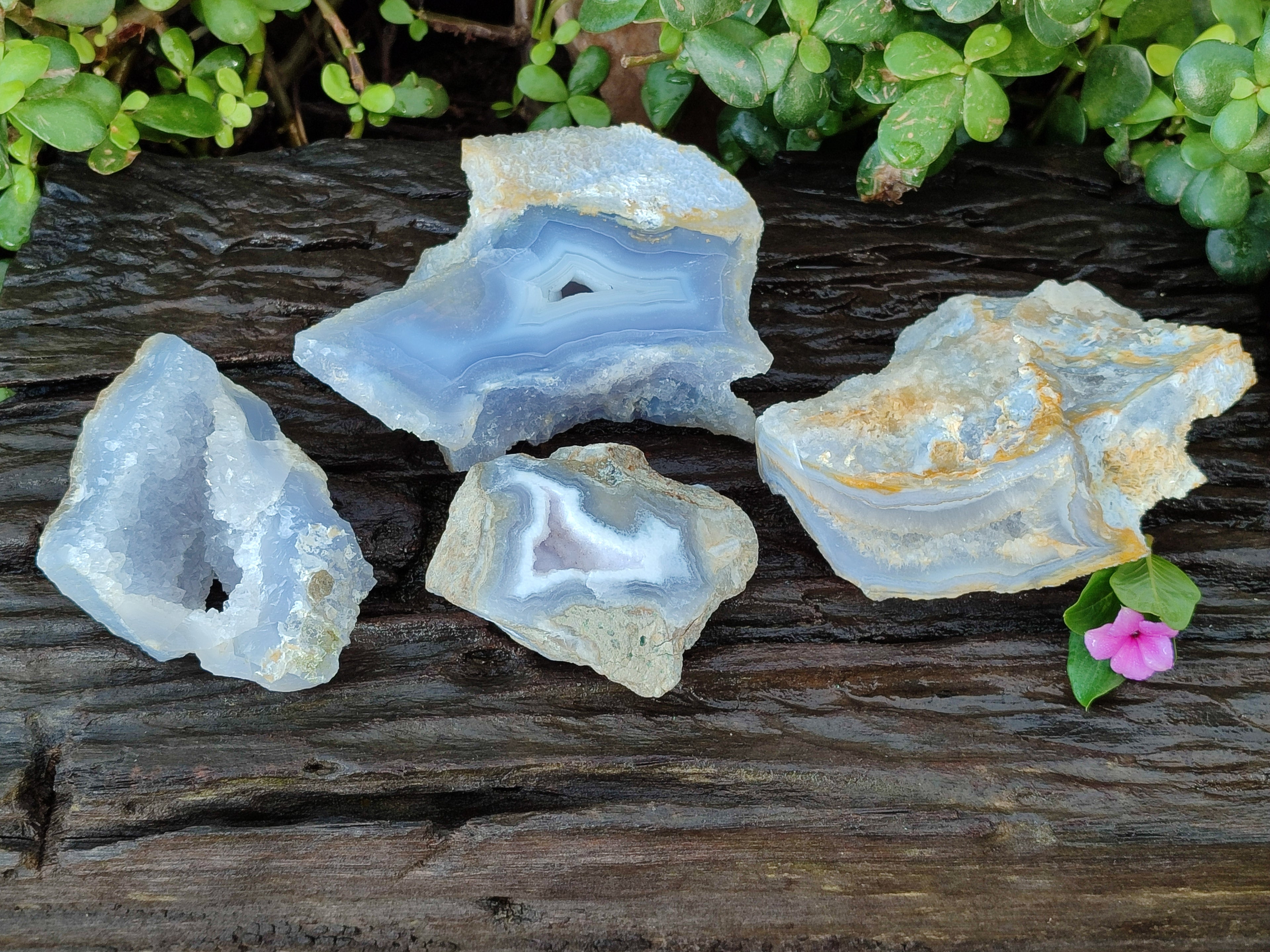 Polished on One Side Etched Blue Lace Chalcedony Geodes x 4 From Nsanje, Malawi - Toprock Gemstones and Minerals 