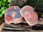 Polished On One Side Red Sashe River Agate Nodules x 20 From Zimbabwe - Toprock Gemstones and Minerals 