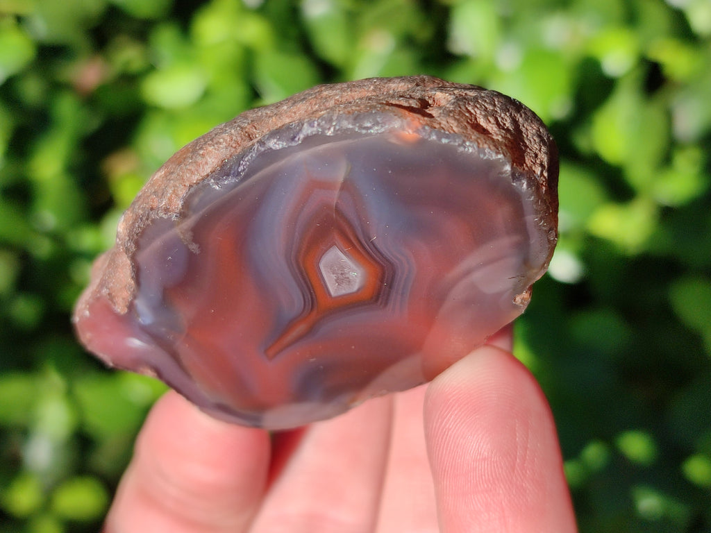 Polished On One Side Red Sashe River Agate Nodules x 20 From Zimbabwe - Toprock Gemstones and Minerals 