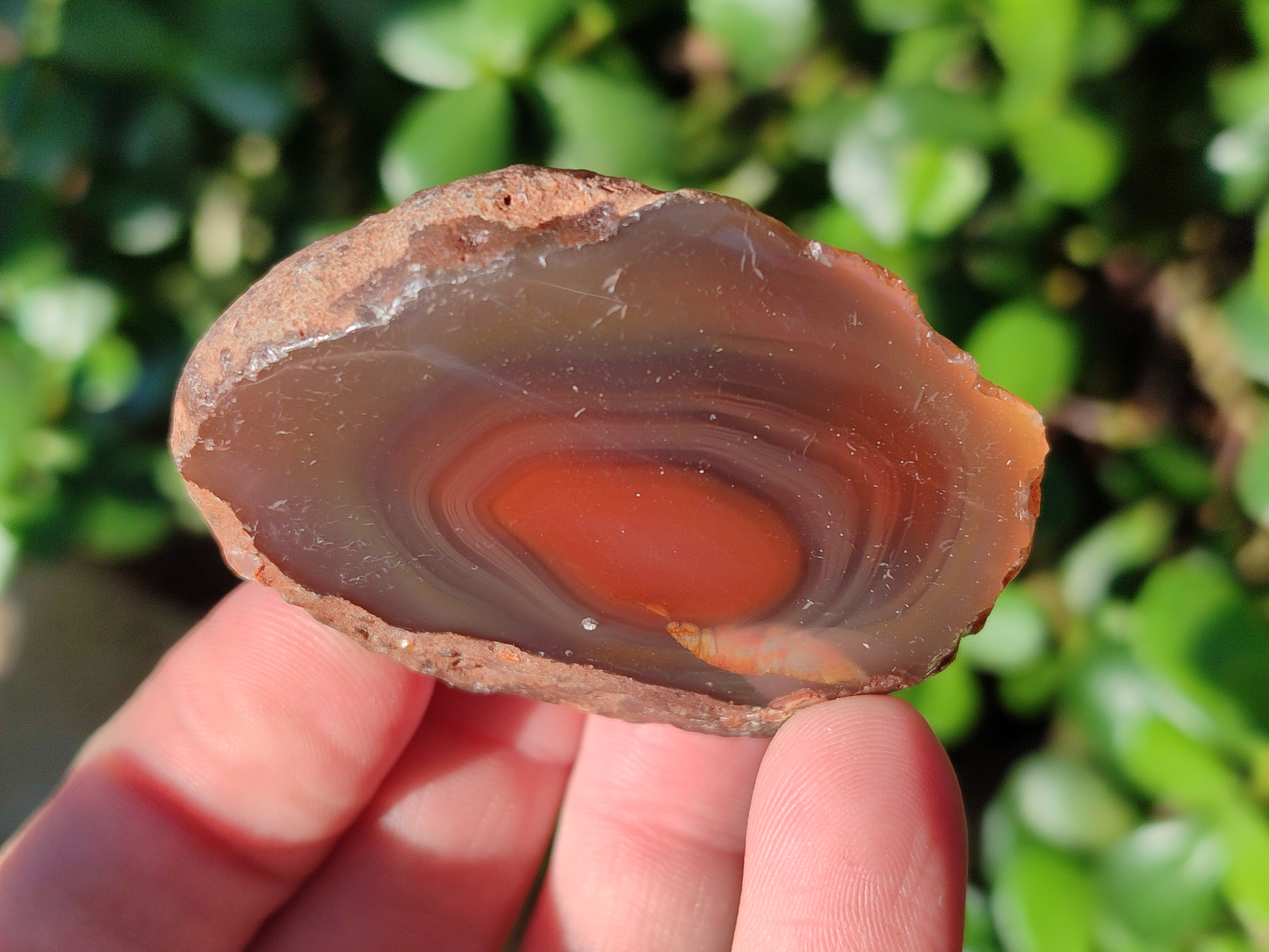 Polished On One Side Red Sashe River Agate Nodules x 20 From Zimbabwe - Toprock Gemstones and Minerals 