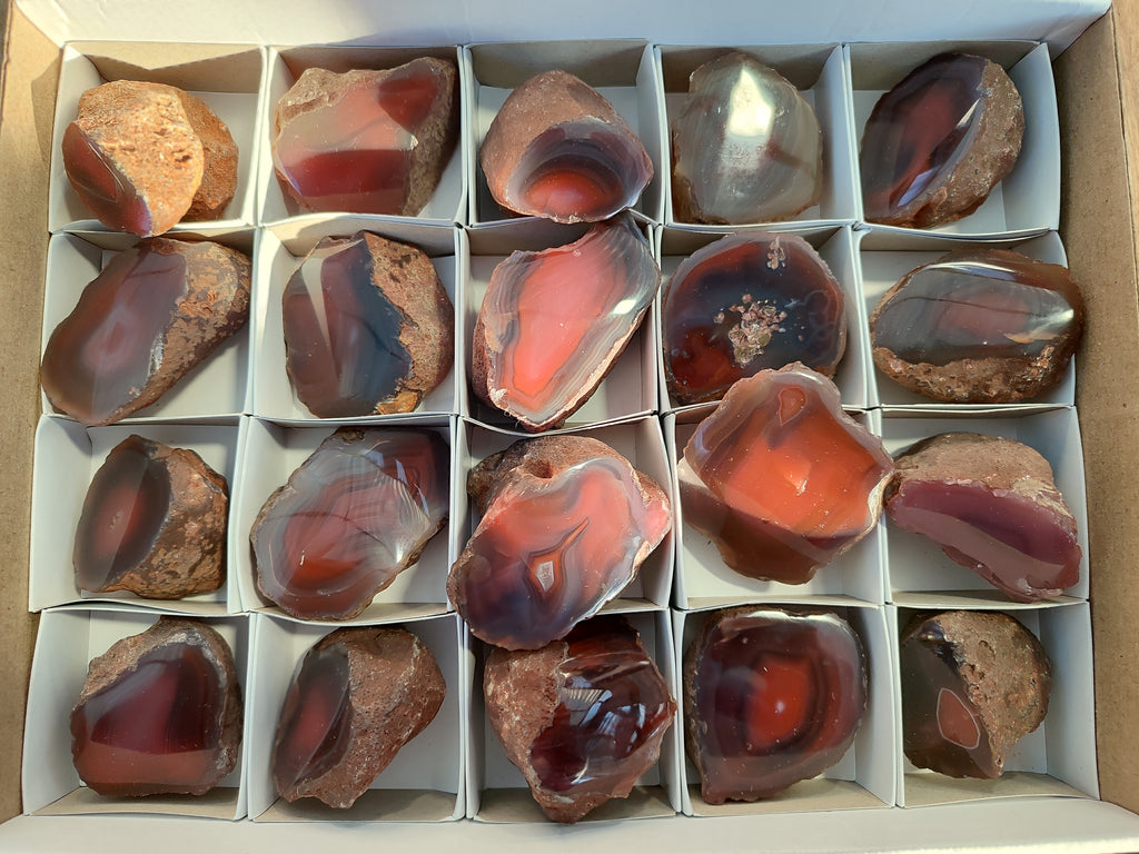 Polished On One Side Red Sashe River Agate Nodules x 20 From Zimbabwe - Toprock Gemstones and Minerals 