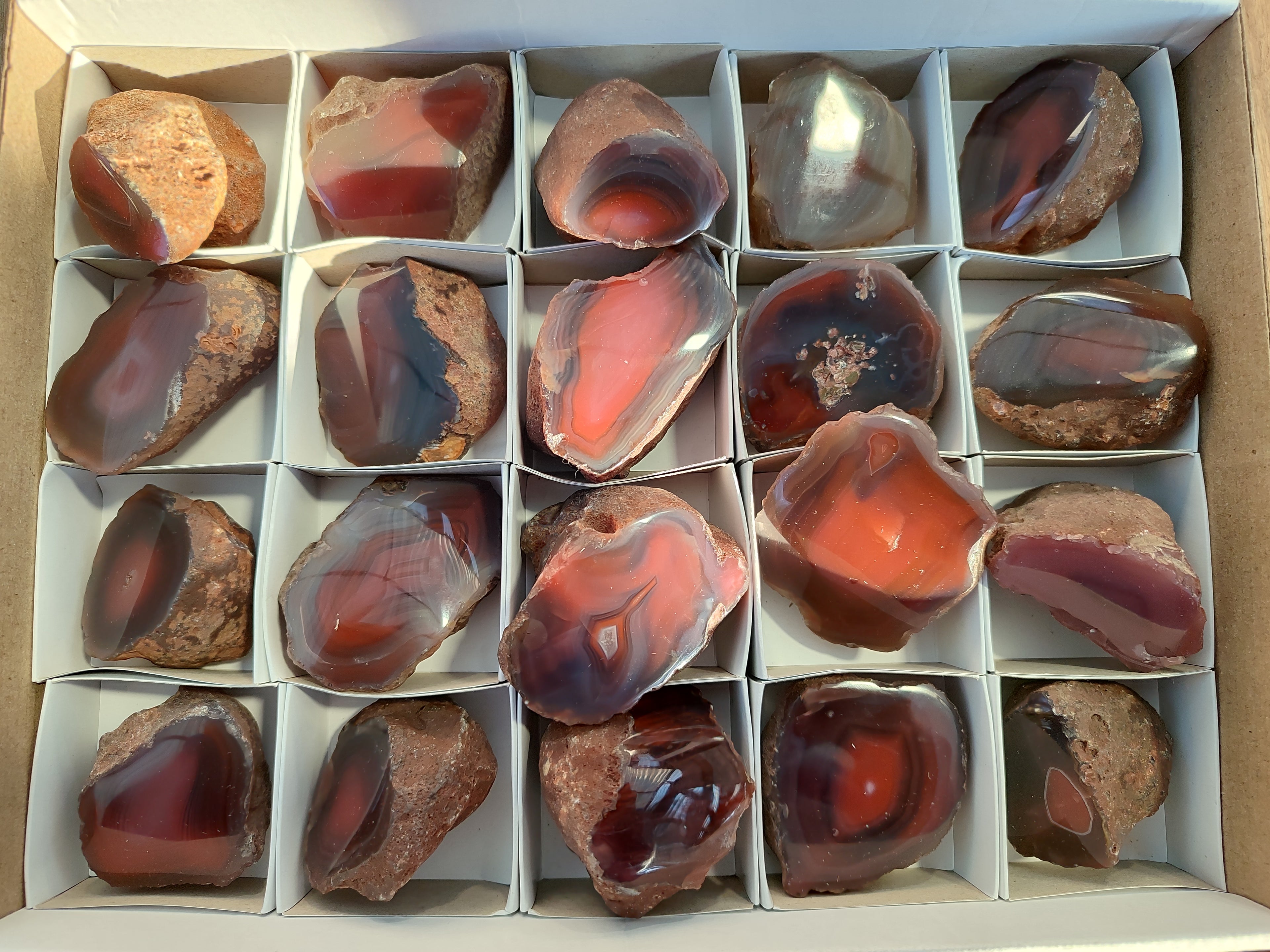 Polished On One Side Red Sashe River Agate Nodules x 20 From Zimbabwe - Toprock Gemstones and Minerals 