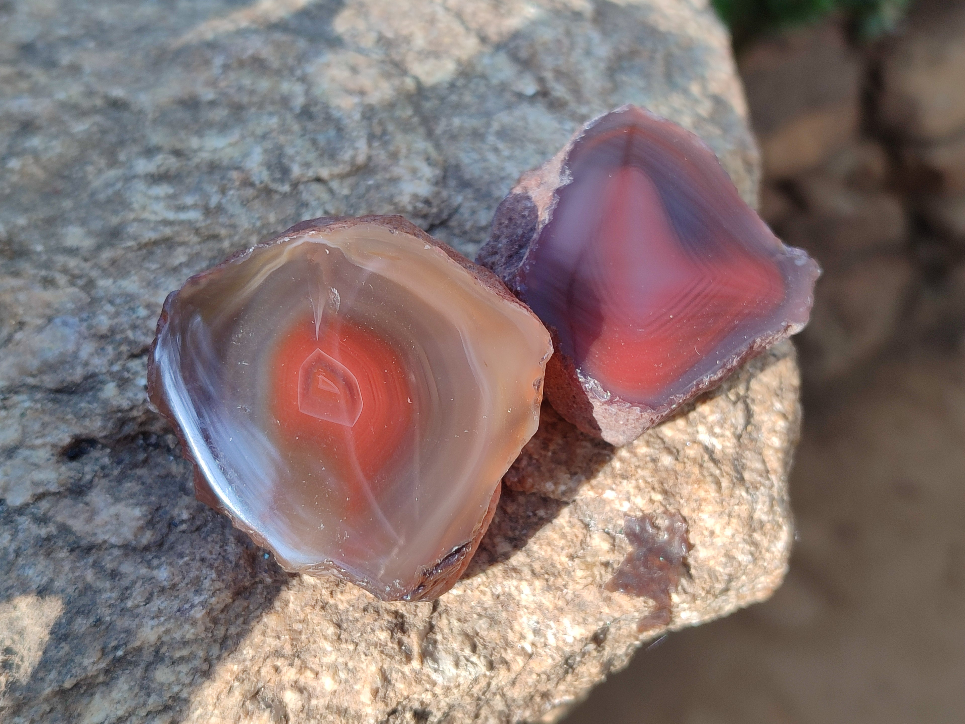 Polished On One Side Red Sashe River Agate Nodules x 20 From Zimbabwe - Toprock Gemstones and Minerals 