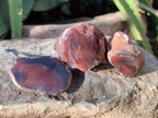 Polished On One Side Red Sashe River Agate Nodules x 20 From Zimbabwe - Toprock Gemstones and Minerals 