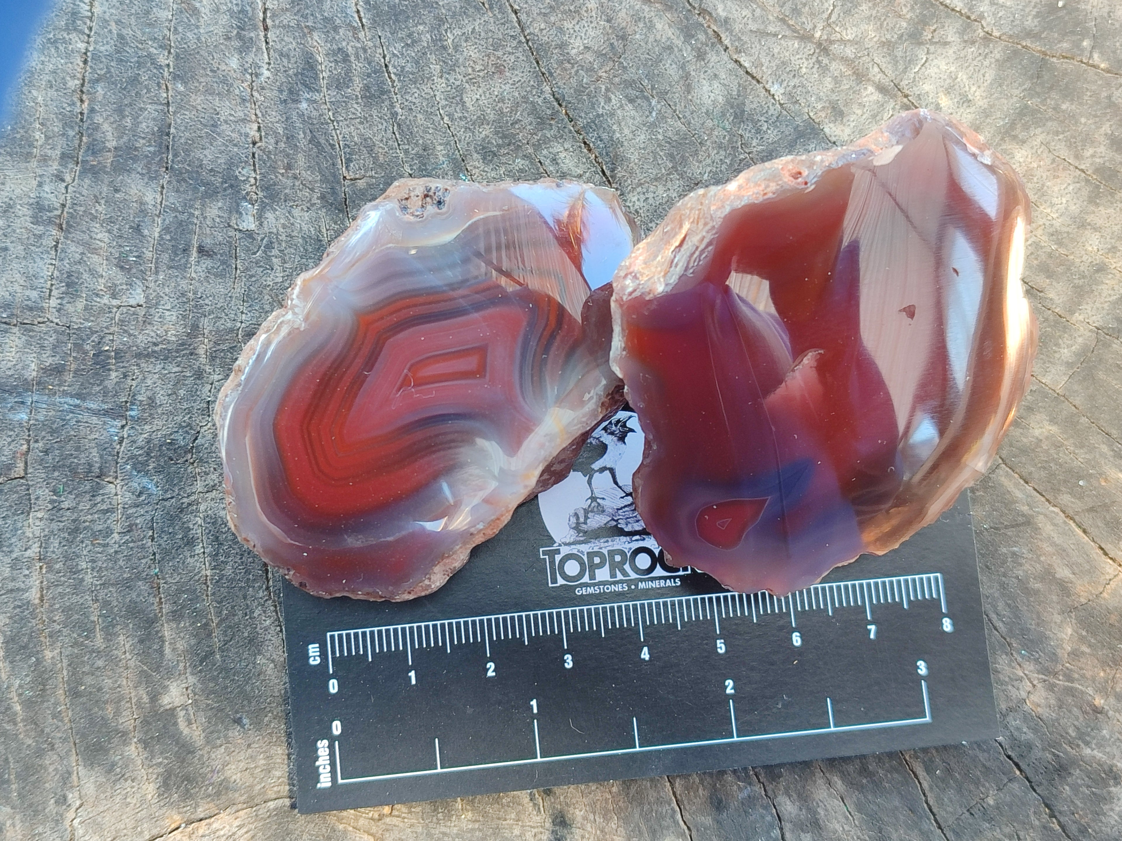 Polished On One Side Red Sashe River Agate Nodules x 20 From Zimbabwe - Toprock Gemstones and Minerals 