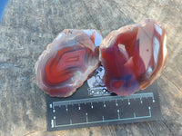 Polished On One Side Red Sashe River Agate Nodules x 20 From Zimbabwe - Toprock Gemstones and Minerals 
