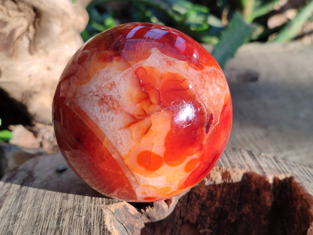 Polished Carnelian Agate Spheres x 3 From Madagascar - Toprock Gemstones and Minerals 