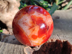 Polished Carnelian Agate Spheres x 3 From Madagascar - Toprock Gemstones and Minerals 