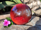 Polished Carnelian Agate Spheres x 3 From Madagascar - Toprock Gemstones and Minerals 