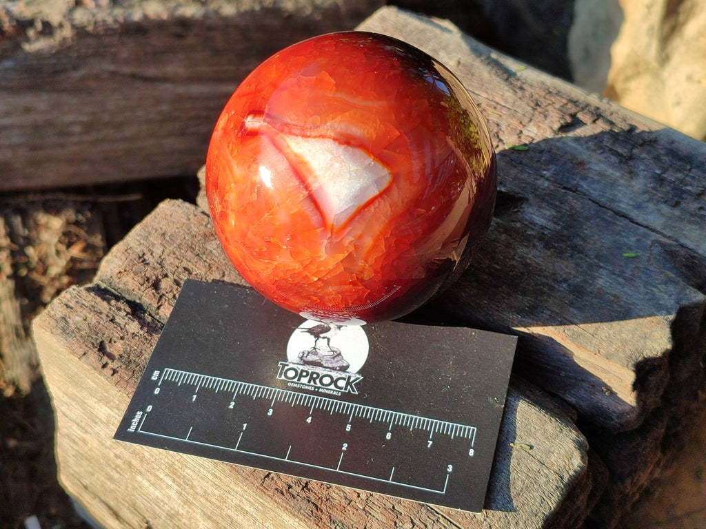Polished Carnelian Agate Spheres x 3 From Madagascar - Toprock Gemstones and Minerals 