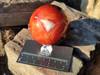Polished Carnelian Agate Spheres x 3 From Madagascar - Toprock Gemstones and Minerals 