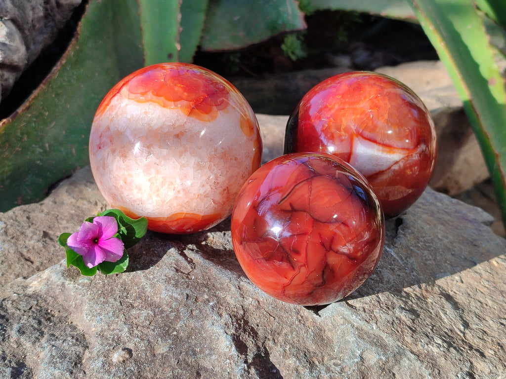 Polished Carnelian Agate Spheres x 3 From Madagascar - Toprock Gemstones and Minerals 