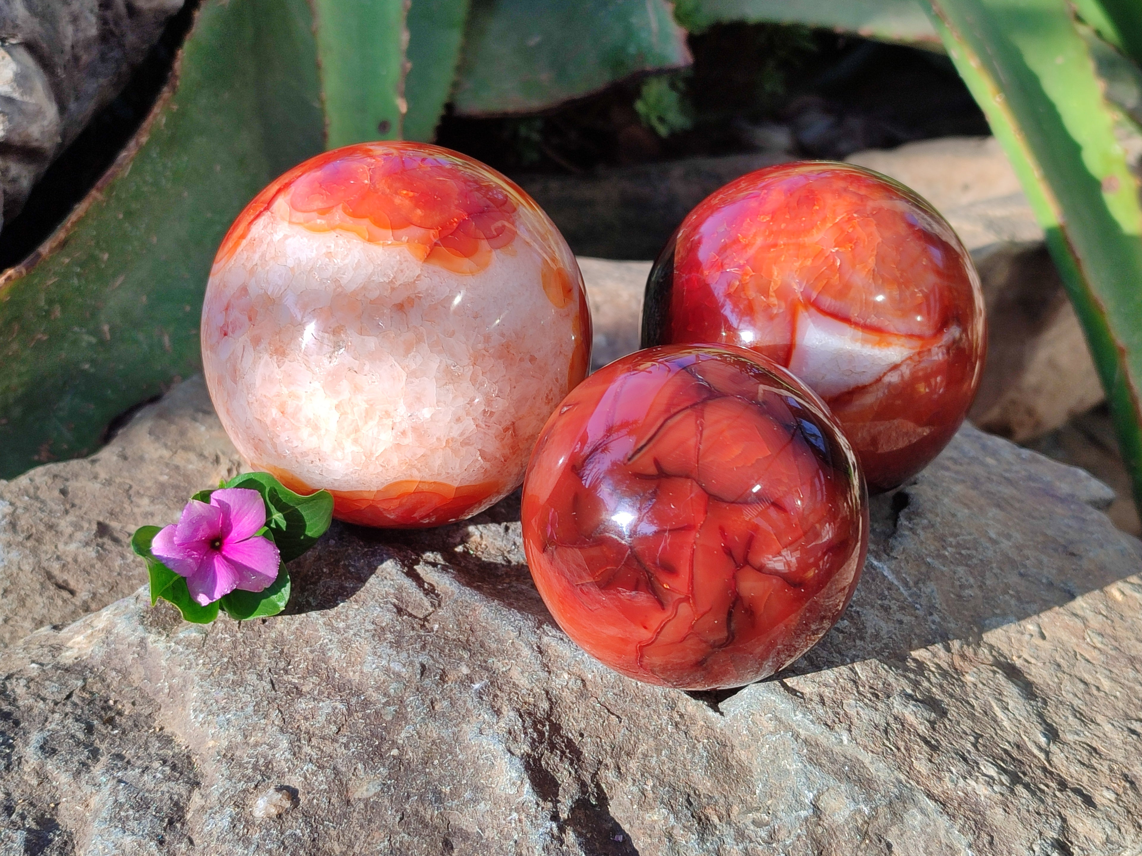 Polished Carnelian Agate Spheres x 3 From Madagascar - Toprock Gemstones and Minerals 
