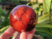 Polished Carnelian Agate Spheres x 3 From Madagascar - Toprock Gemstones and Minerals 