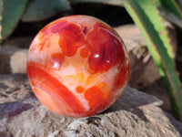 Polished Carnelian Agate Spheres x 3 From Madagascar - Toprock Gemstones and Minerals 