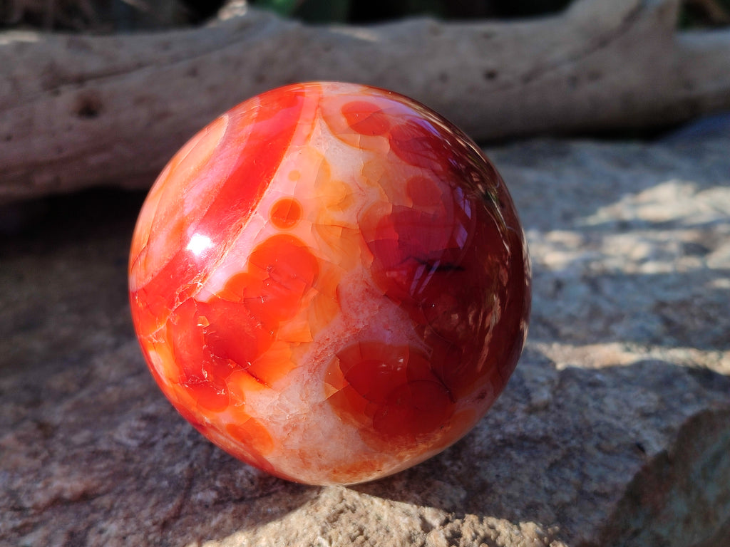Polished Carnelian Agate Spheres x 3 From Madagascar - Toprock Gemstones and Minerals 