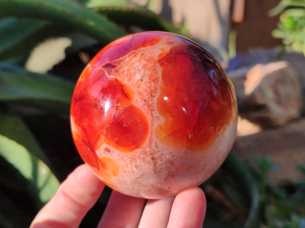 Polished Carnelian Agate Spheres x 3 From Madagascar - Toprock Gemstones and Minerals 