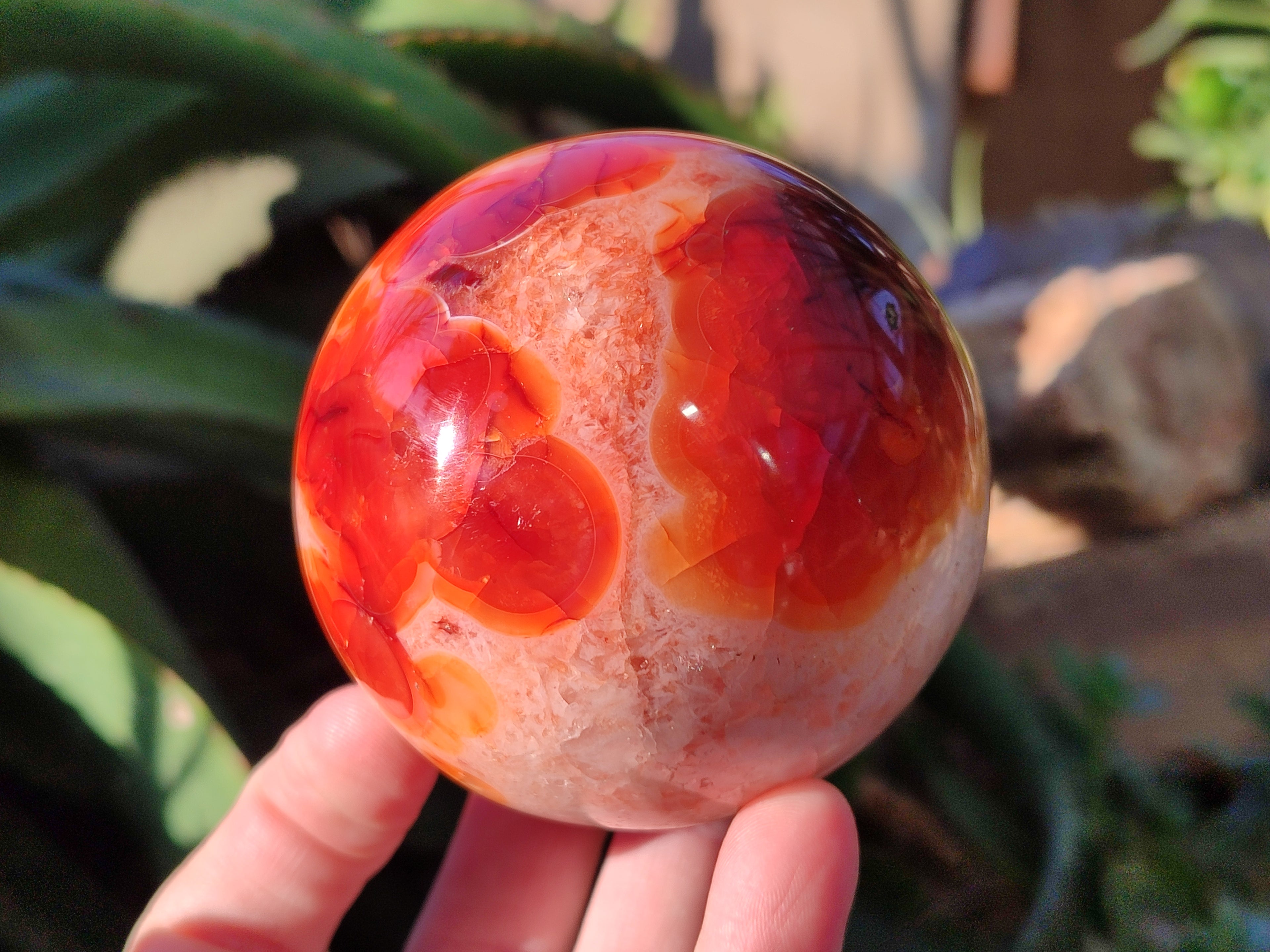 Polished Carnelian Agate Spheres x 3 From Madagascar - Toprock Gemstones and Minerals 