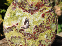 Polished Large Bastite Dragons Blood Stone Standing Free Form x 1 From Tshipise, South Africa - Toprock Gemstones and Minerals 