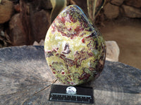 Polished Large Bastite Dragons Blood Stone Standing Free Form x 1 From Tshipise, South Africa - Toprock Gemstones and Minerals 