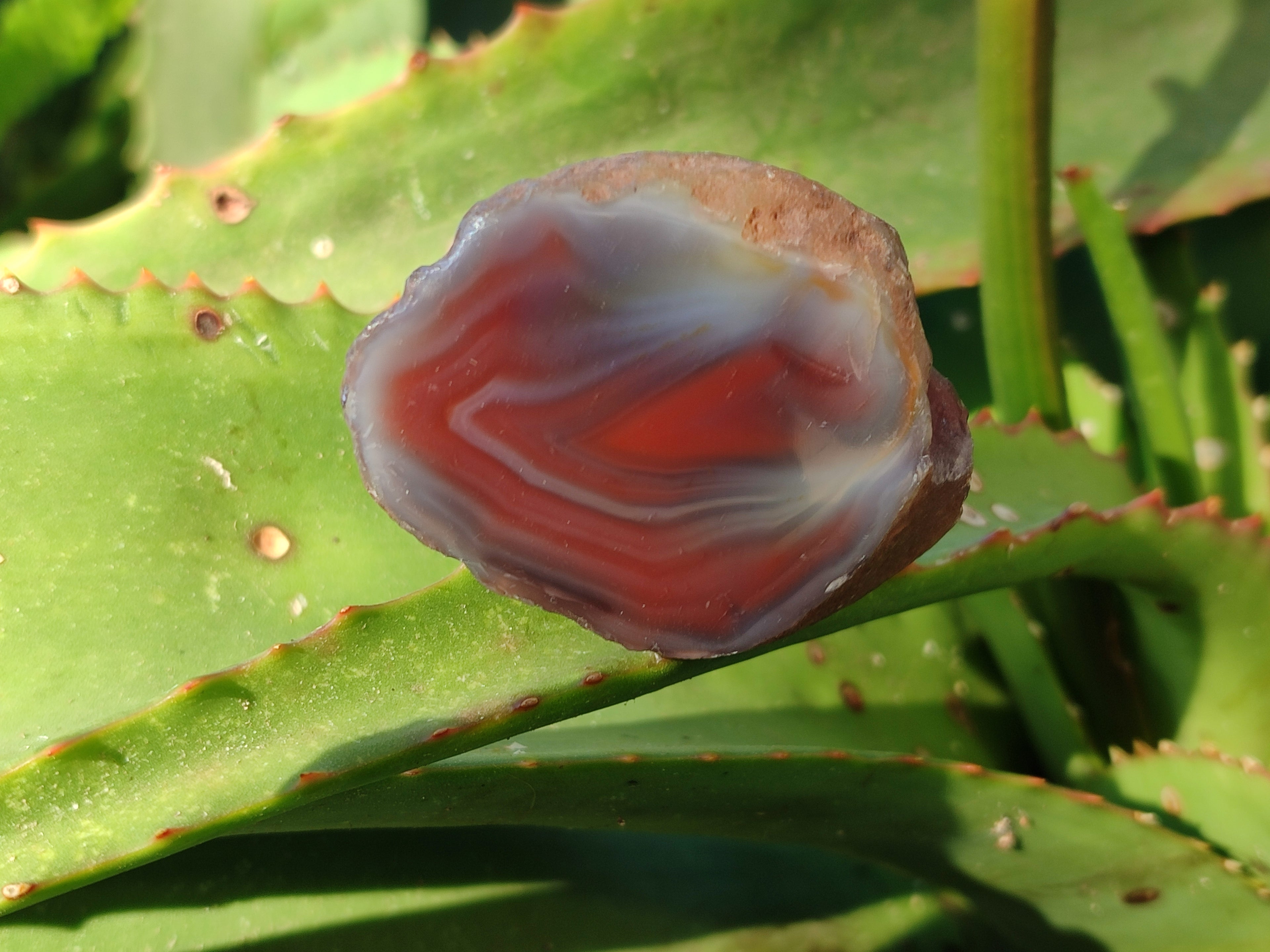 Polished On One Side Red Sashe River Agate Nodules x 20 From Zimbabwe - Toprock Gemstones and Minerals 