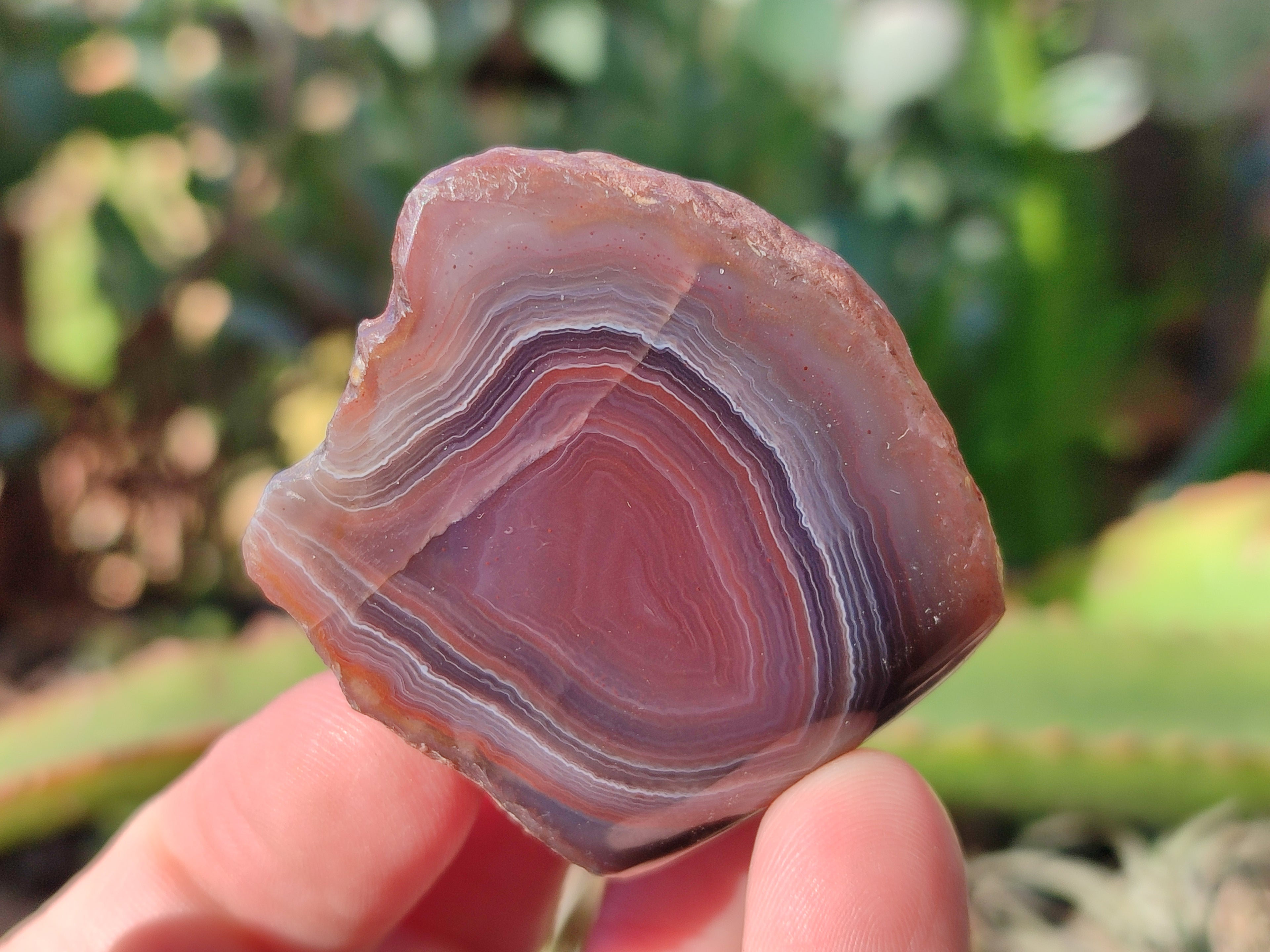 Polished On One Side Red Sashe River Agate Nodules x 20 From Zimbabwe - Toprock Gemstones and Minerals 