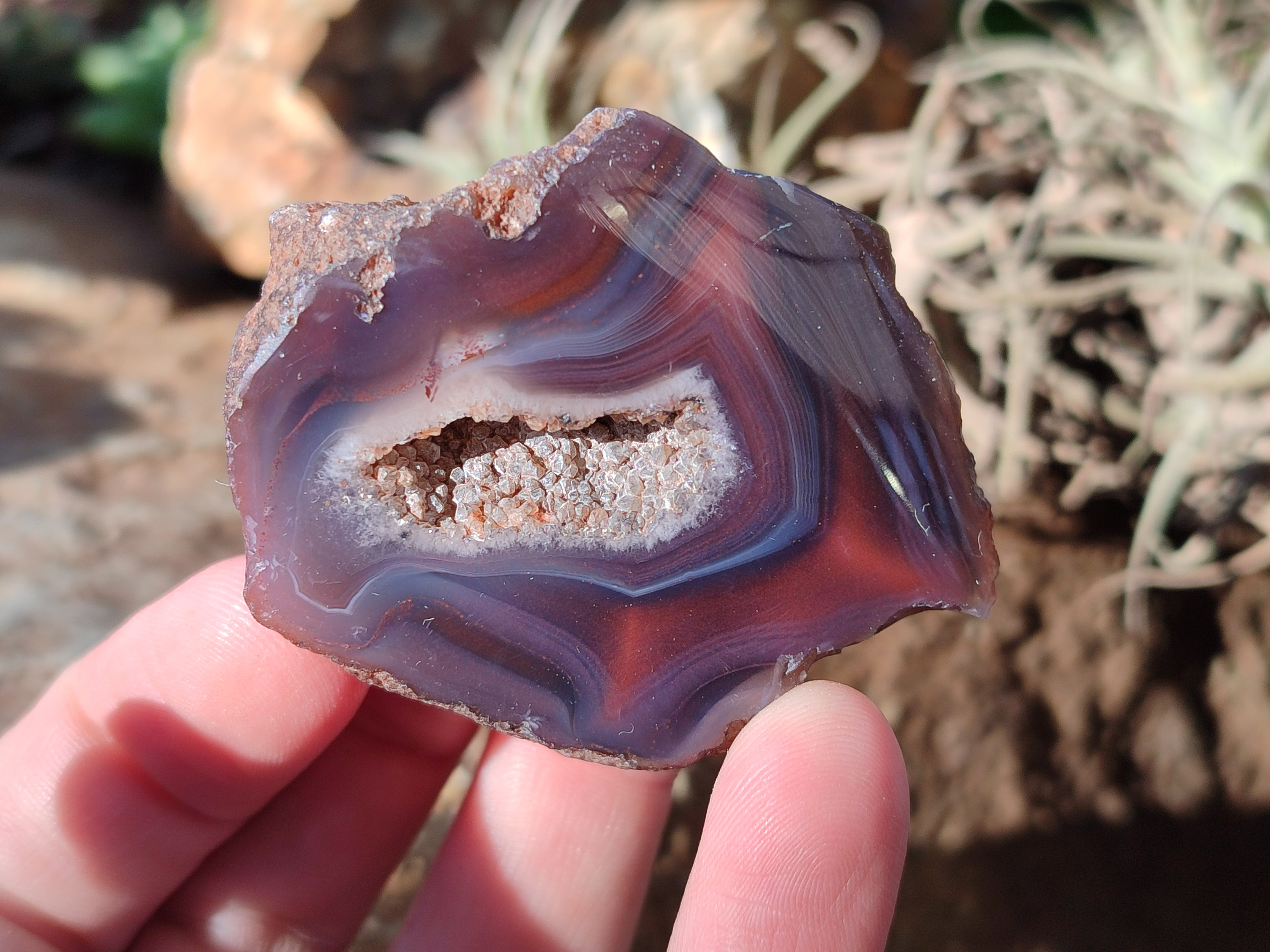 Polished On One Side Red Sashe River Agate Nodules x 20 From Zimbabwe - Toprock Gemstones and Minerals 