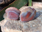 Polished On One Side Red Sashe River Agate Nodules x 20 From Zimbabwe - Toprock Gemstones and Minerals 