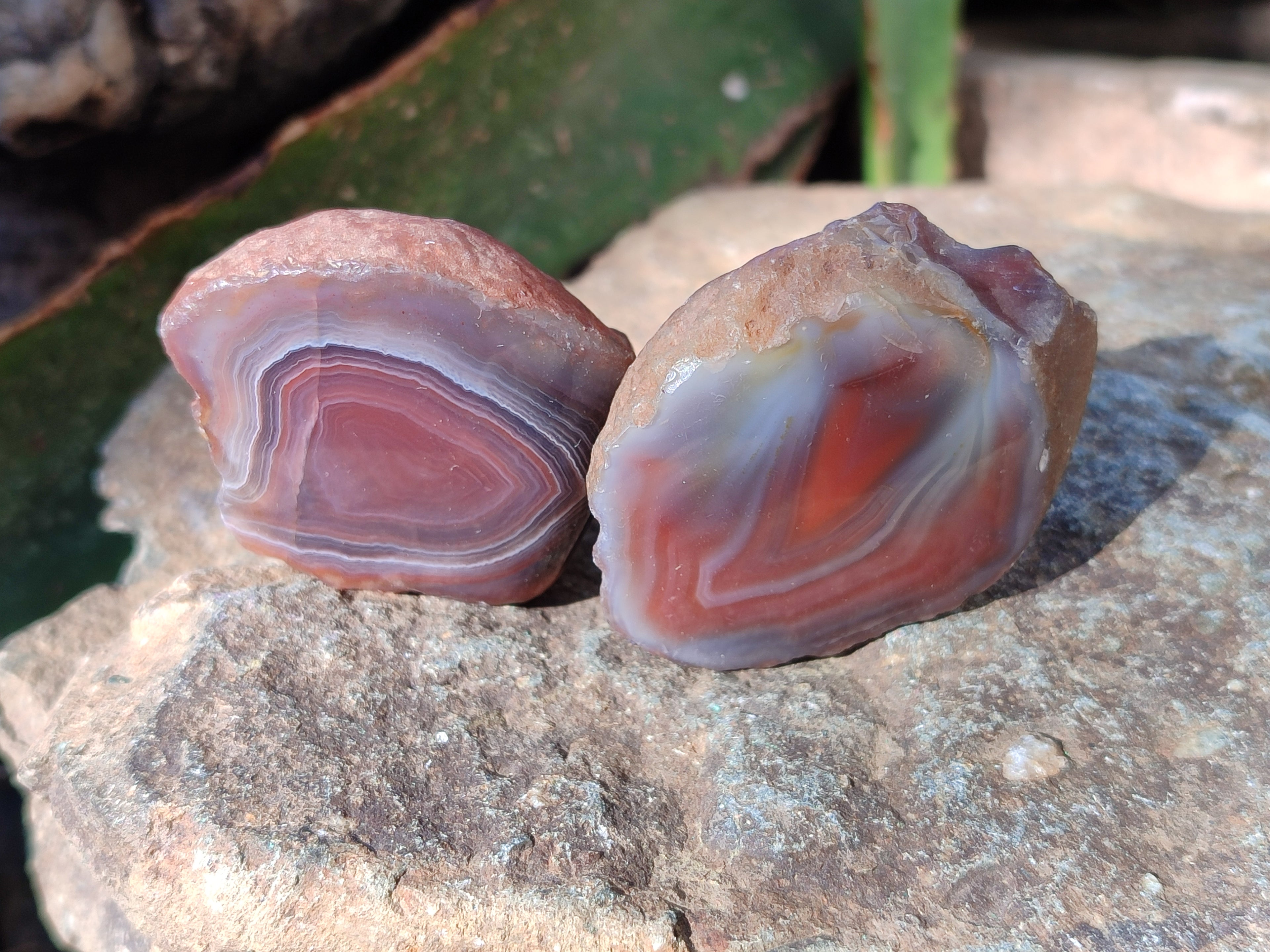 Polished On One Side Red Sashe River Agate Nodules x 20 From Zimbabwe - Toprock Gemstones and Minerals 