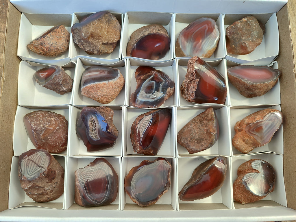 Polished On One Side Red Sashe River Agate Nodules x 20 From Zimbabwe - Toprock Gemstones and Minerals 