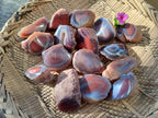 Polished On One Side Red Sashe River Agate Nodules x 20 From Zimbabwe - Toprock Gemstones and Minerals 