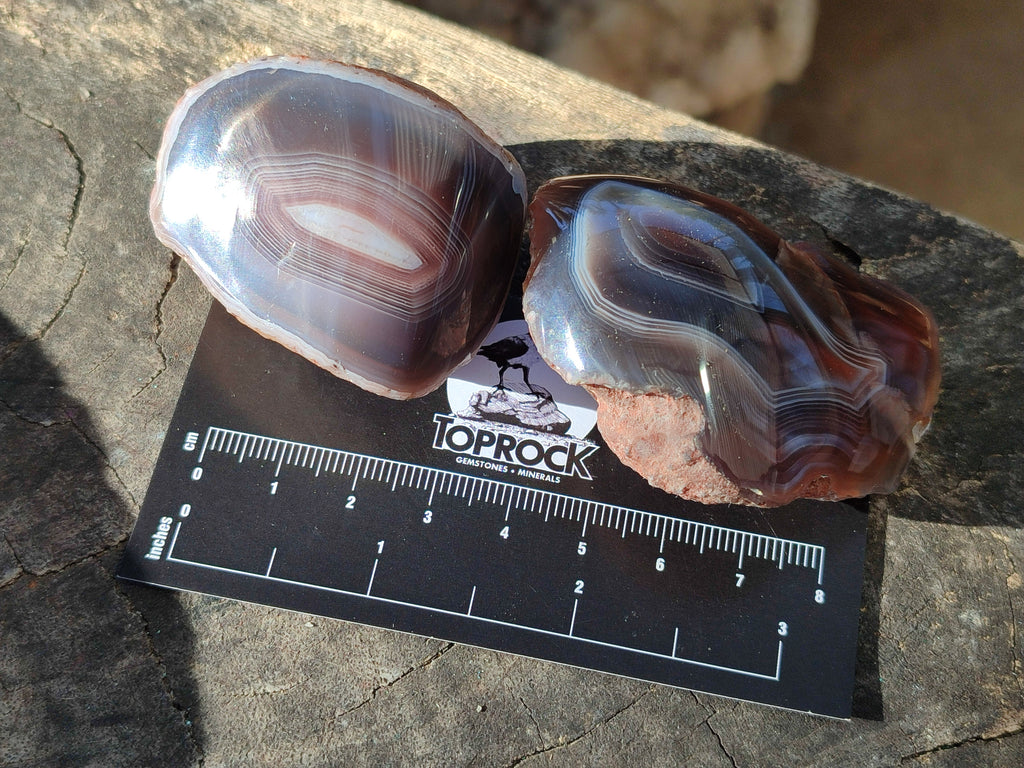 Polished On One Side Red Sashe River Agate Nodules x 20 From Zimbabwe - Toprock Gemstones and Minerals 
