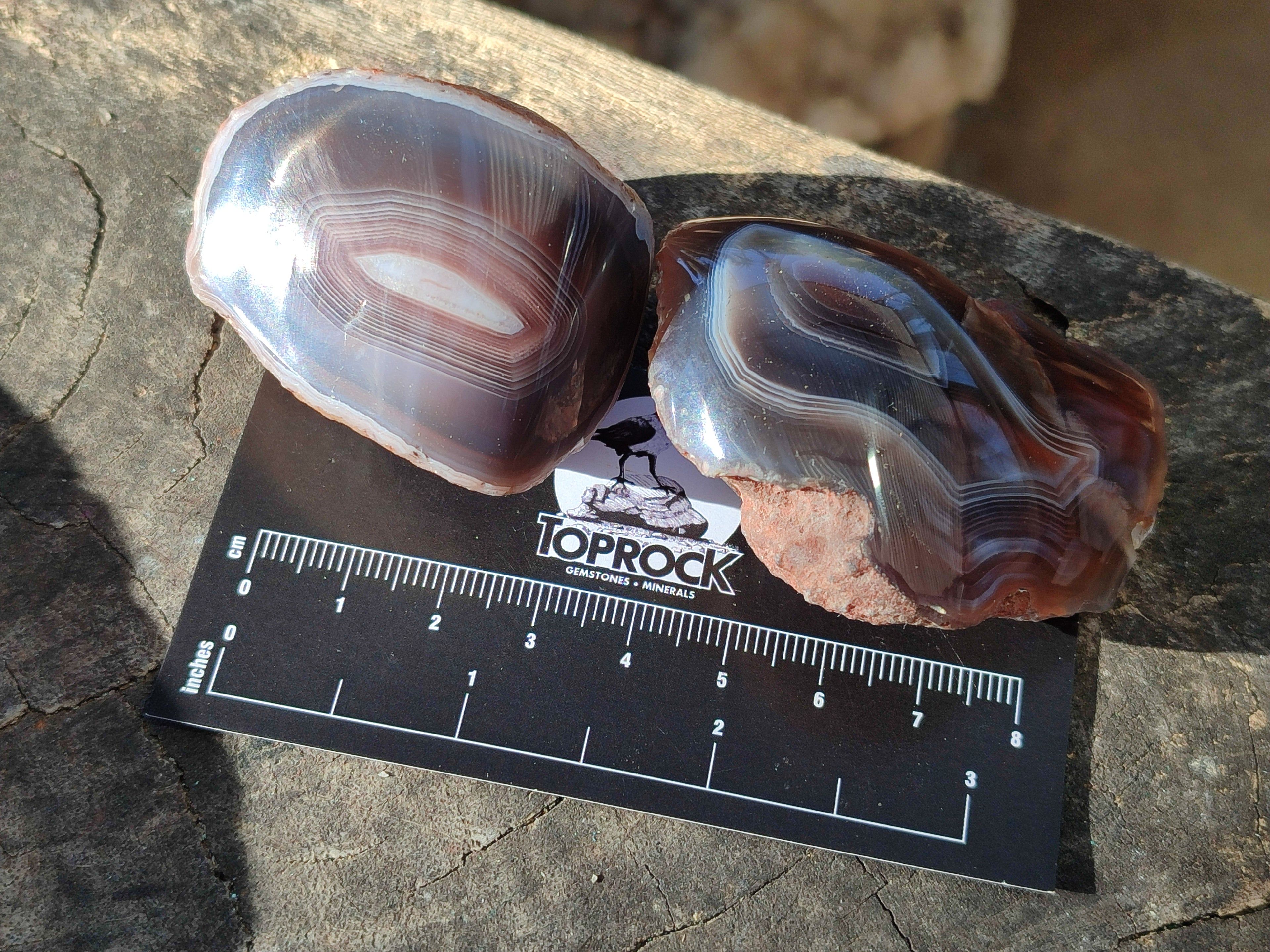 Polished On One Side Red Sashe River Agate Nodules x 20 From Zimbabwe - Toprock Gemstones and Minerals 