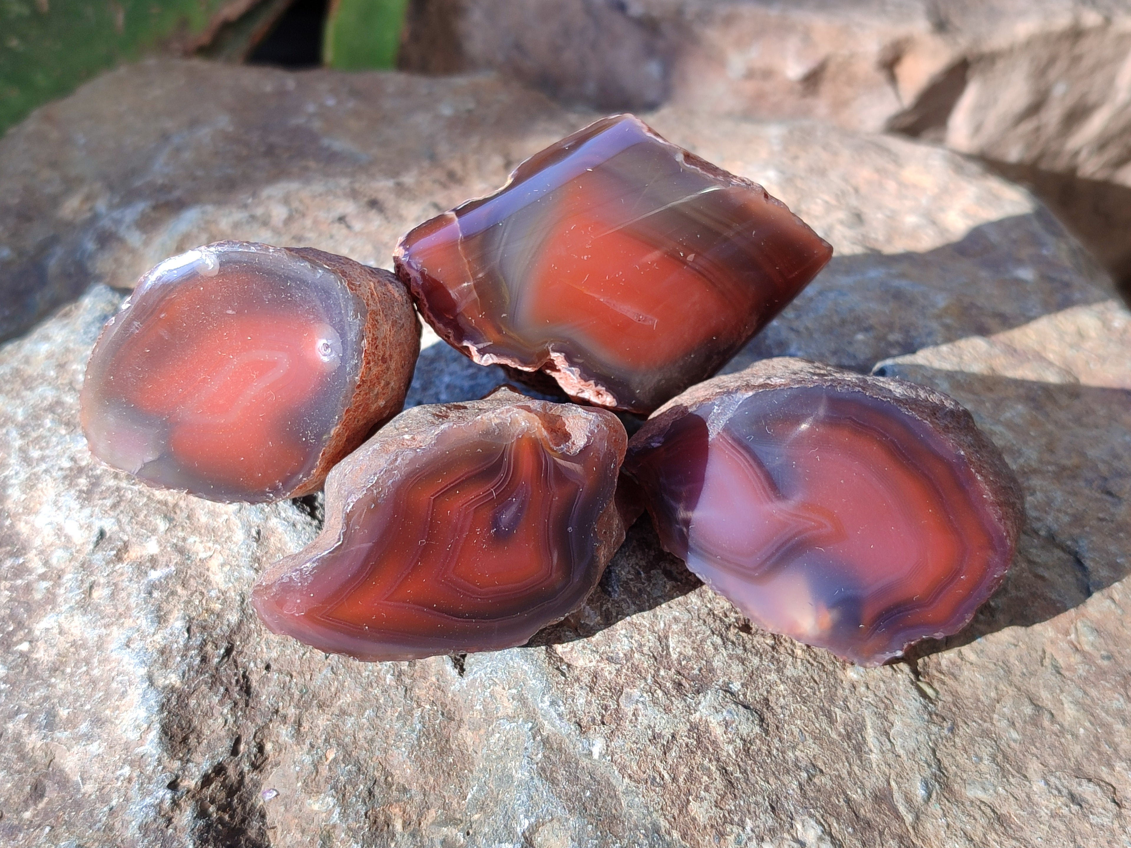 Polished On One Side Red Sashe River Agate Nodules x 20 From Zimbabwe - Toprock Gemstones and Minerals 
