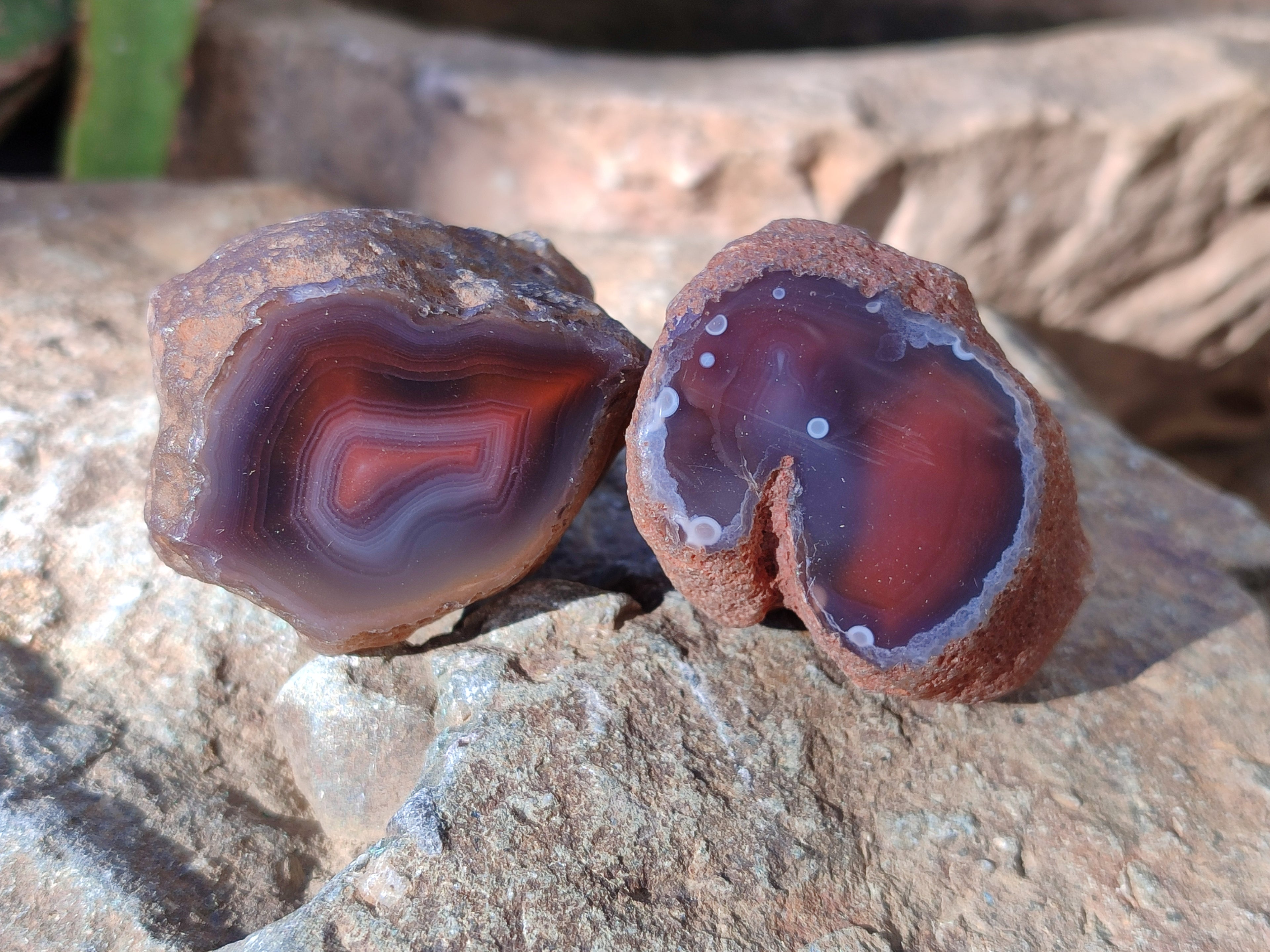 Polished On One Side Red Sashe River Agate Nodules x 20 From Zimbabwe - Toprock Gemstones and Minerals 