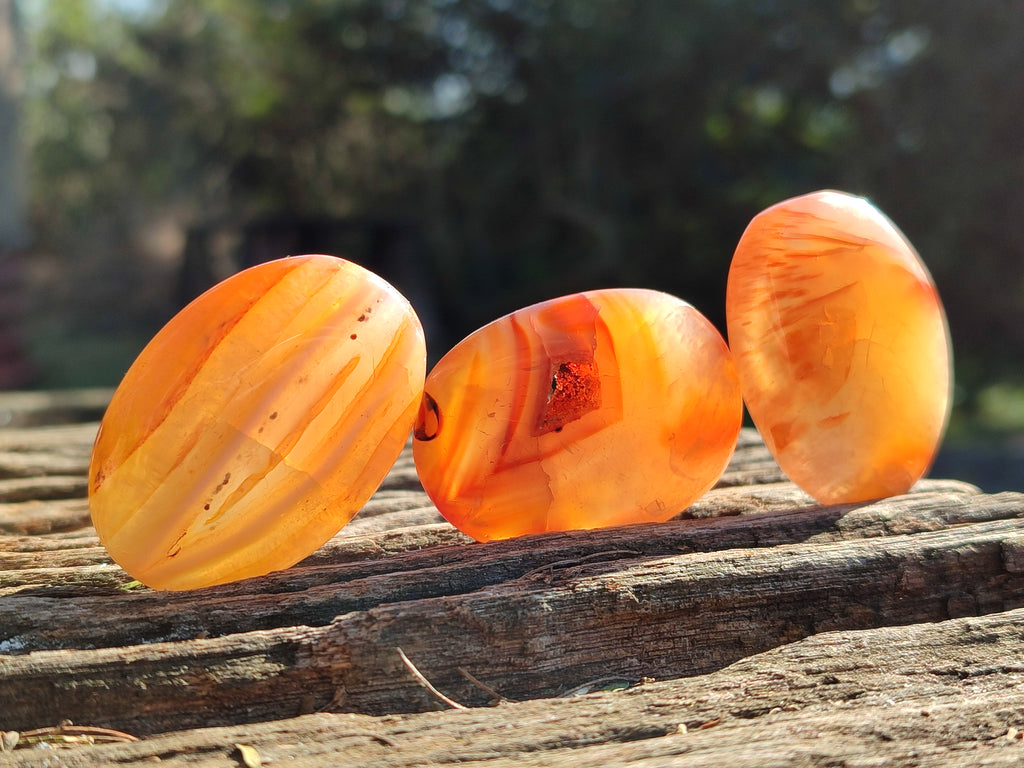 Polished Carnelian Palm Stones x 35 From Madagascar - Toprock Gemstones and Minerals 