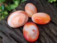 Polished Carnelian Palm Stones x 35 From Madagascar - Toprock Gemstones and Minerals 